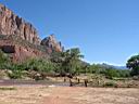 090_zion.jpg